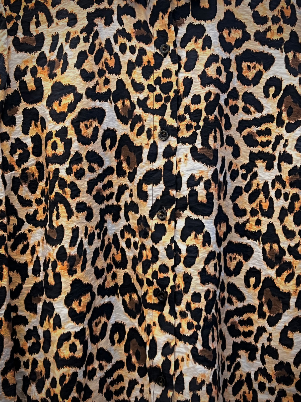 Animal Printed Shirt
